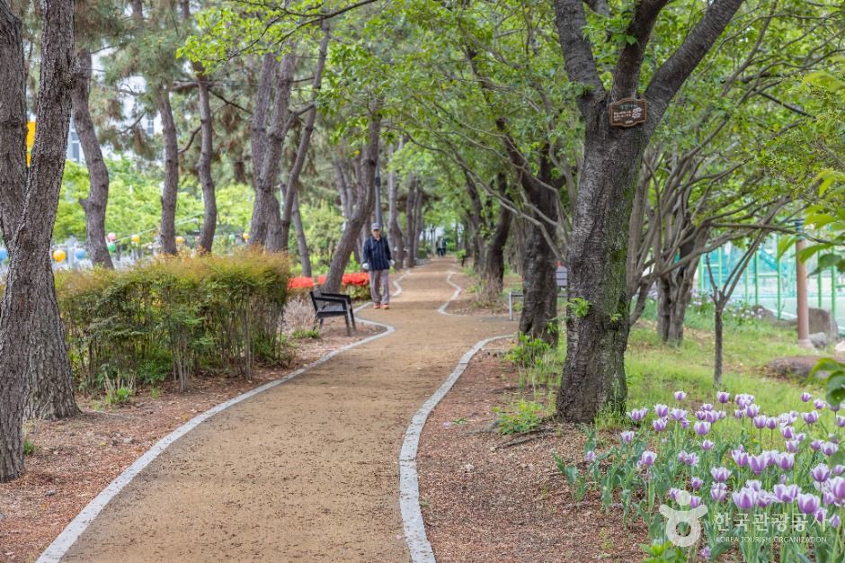 부산_장미원 (11)