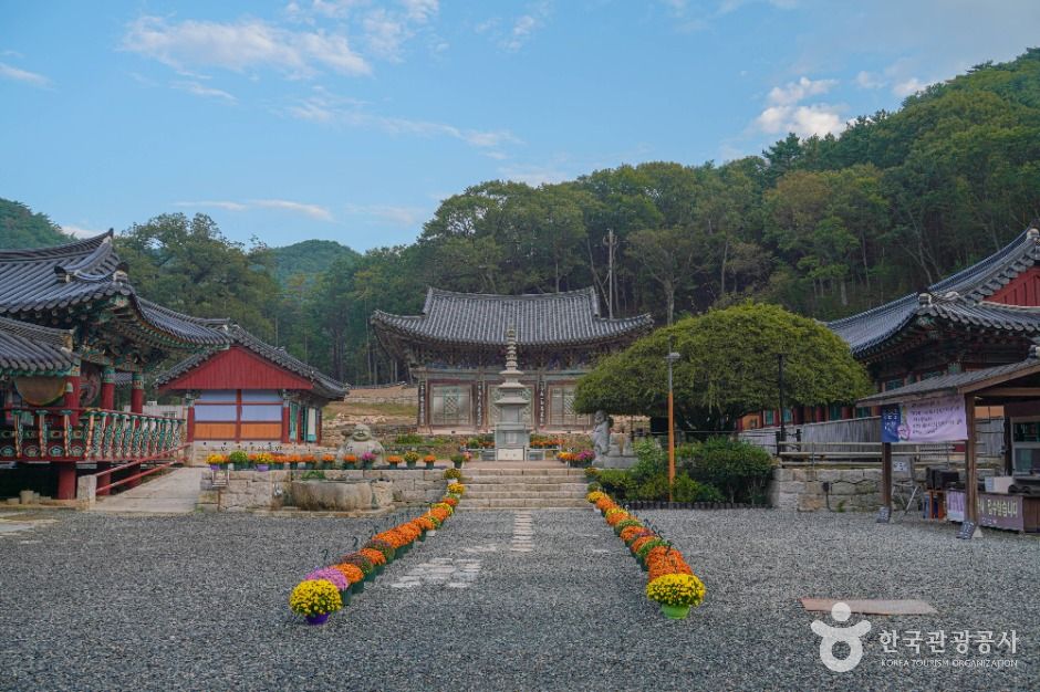 부산_장안사(부산) (4)