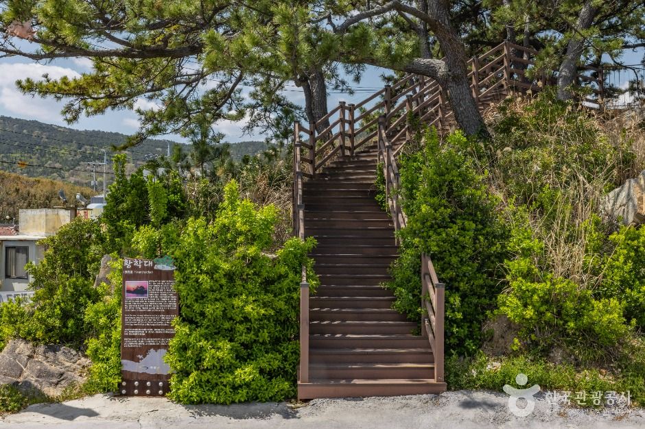 부산_죽성항(황학대) (3)