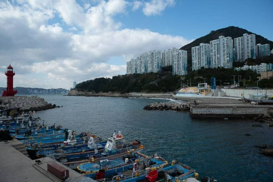 중리노을전망대_풍경 (2)