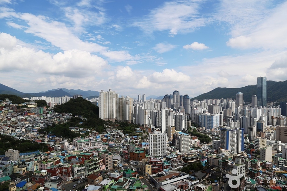 책마루전망대 (18)