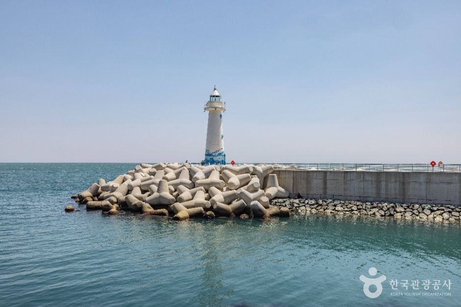 부산_청사포 (2)