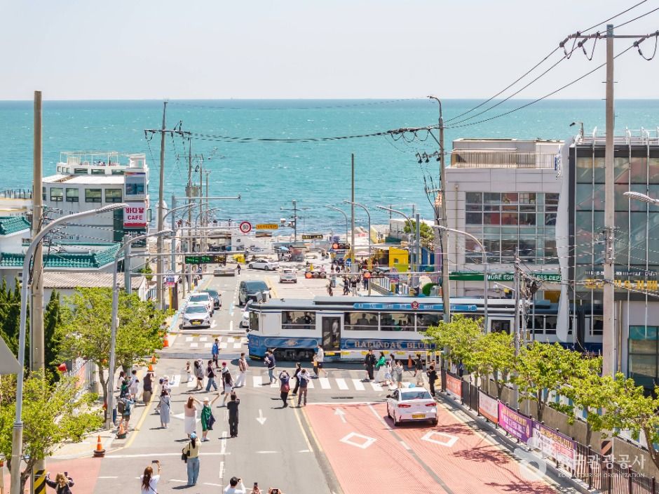 부산_청사포 (7)