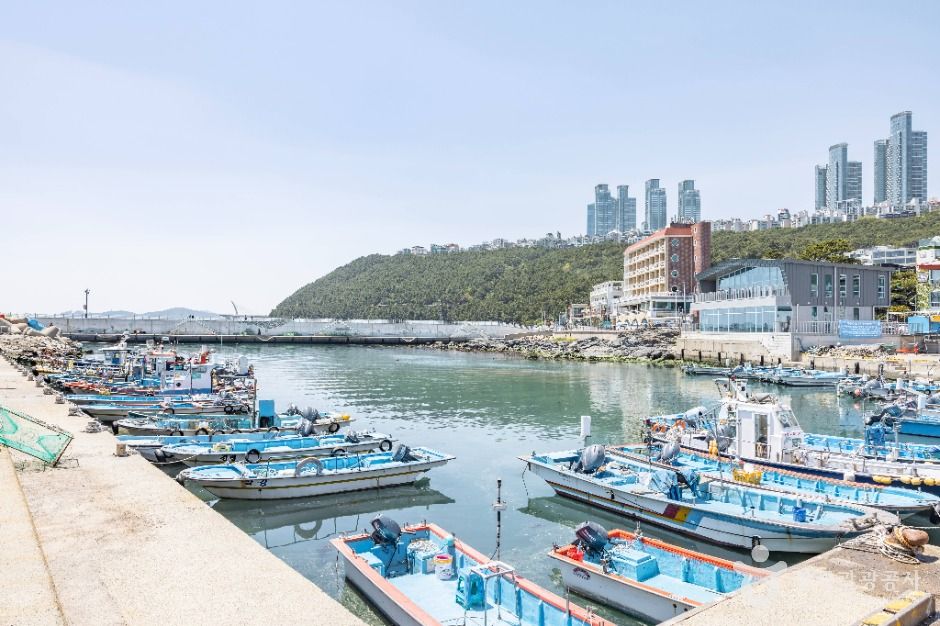 부산_청사포 (9)