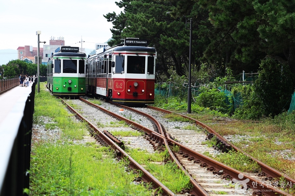 청사포기찻길 (2)