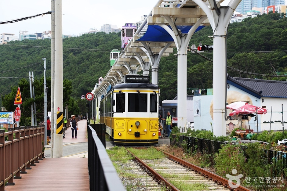 청사포기찻길 (12)