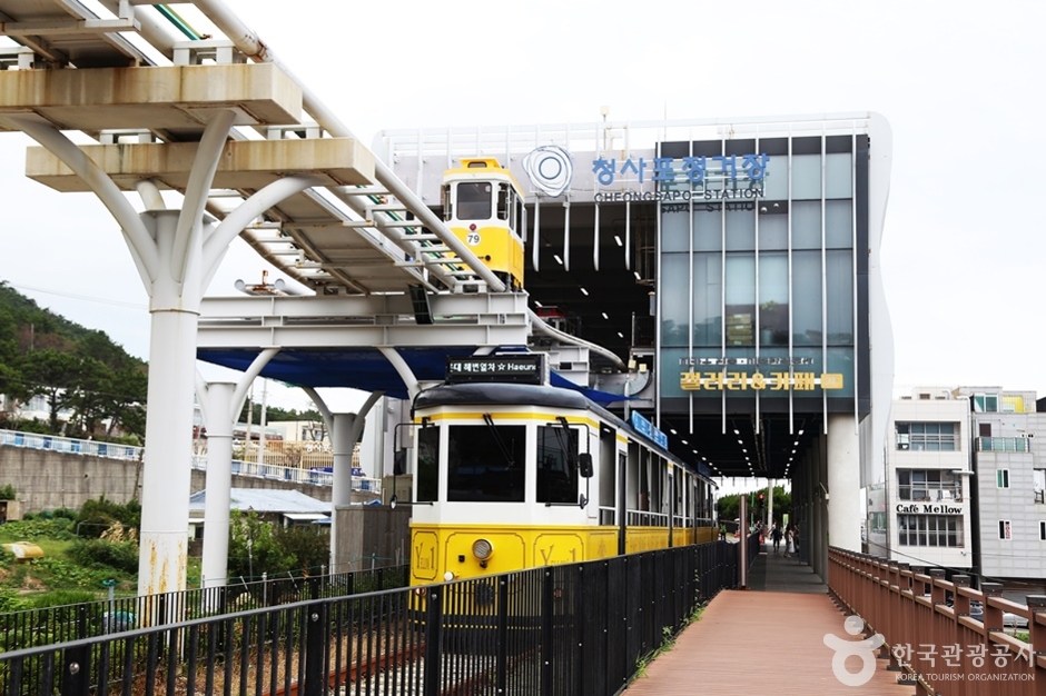 청사포기찻길 (13)