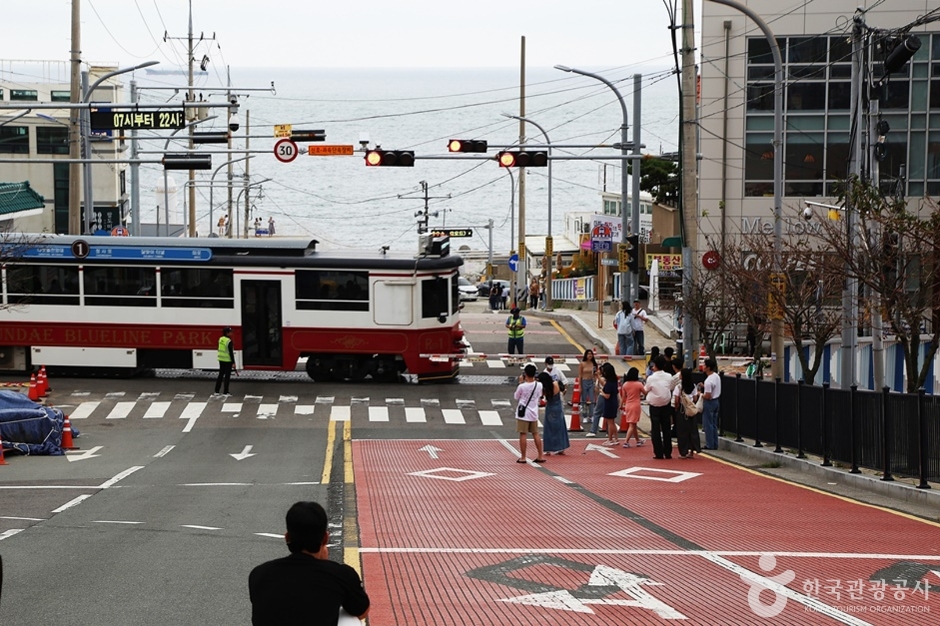 청사포기찻길 (15)