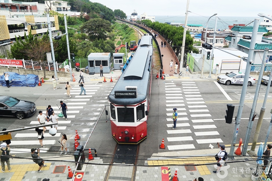 청사포기찻길 (20)