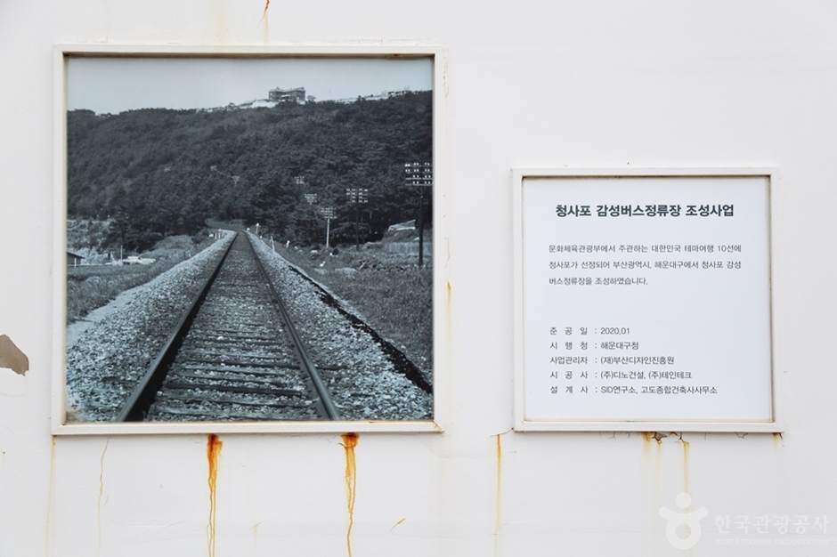 청사포 횟집촌 (3)