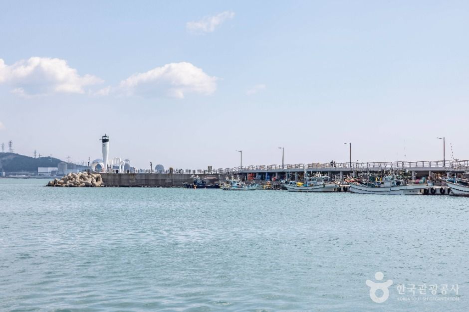 부산_칠암항 (3)