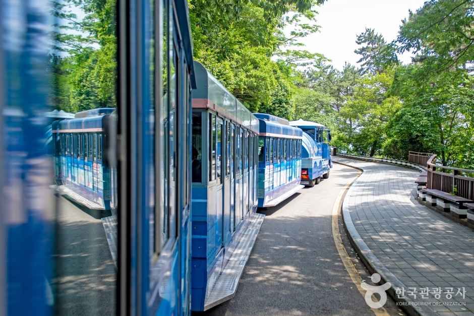 태종대 다누비열차