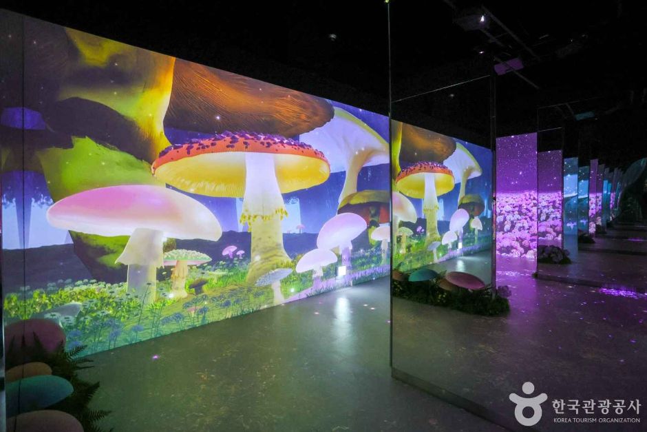 부산_영도구_태종대오션플라잉테마파크 (5)