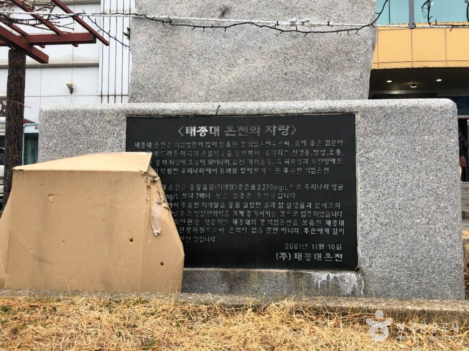 부산_태종대온천찜질방 (3)