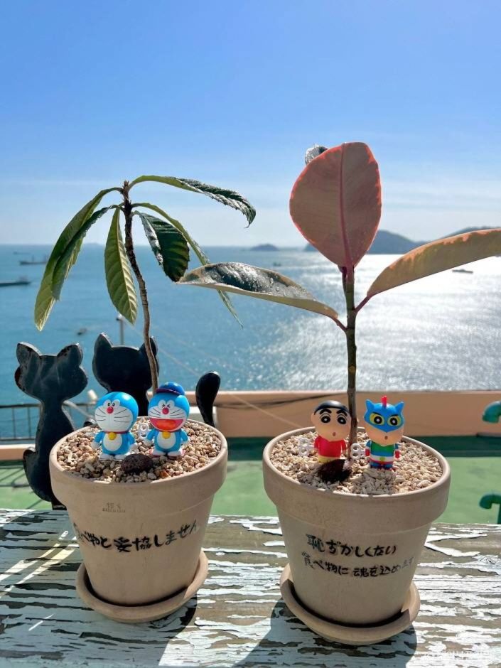 부산_영도_테이블플라워 화분