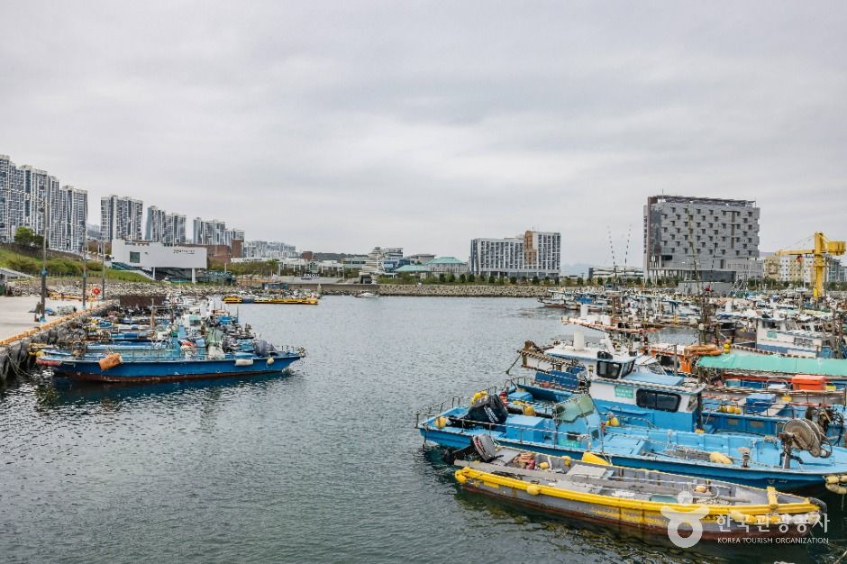 부산_하리선착장(부산) (10)