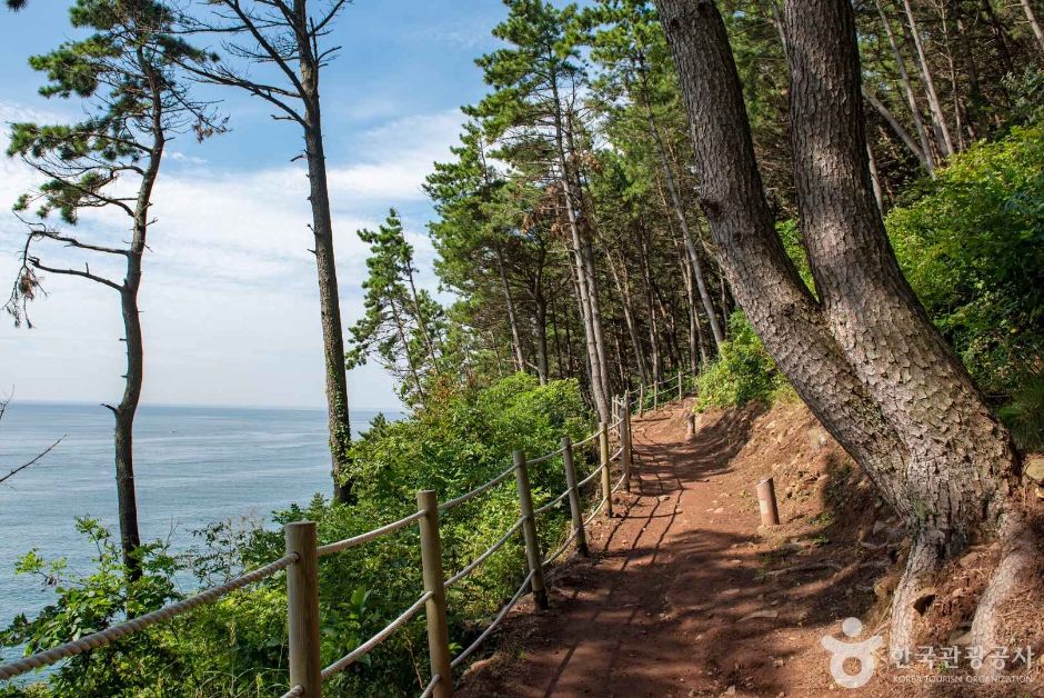 해운대 달맞이길 (5)