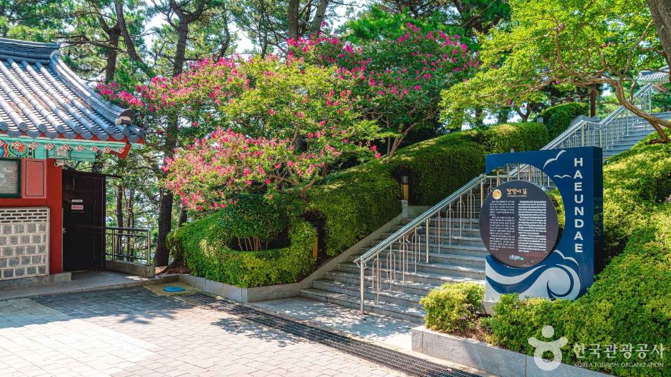 해운대 달맞이길 (11)