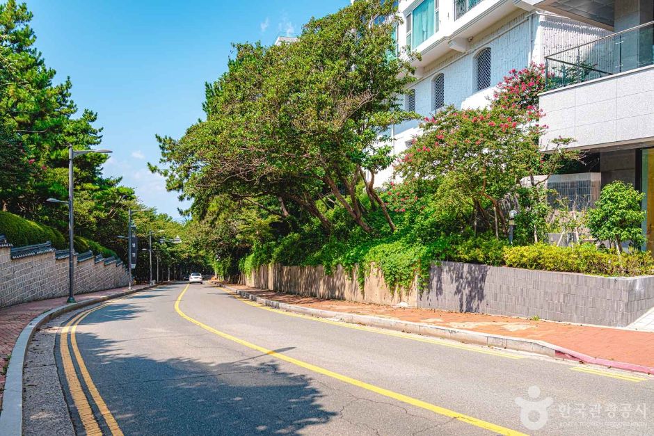 해운대 달맞이길 (13)