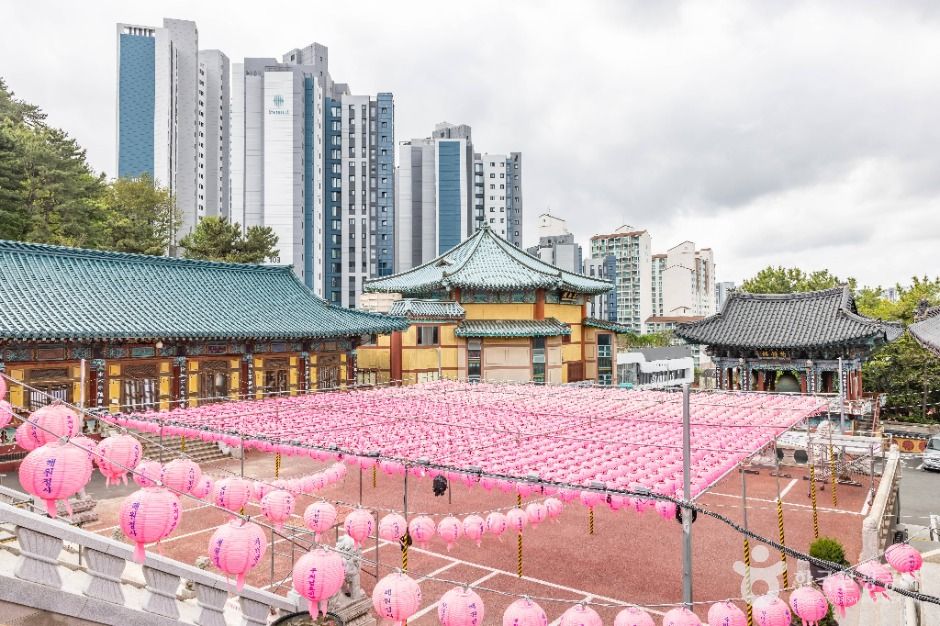 부산_혜원정사(부산) (14)