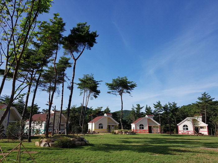 국립 달음산자연휴양림