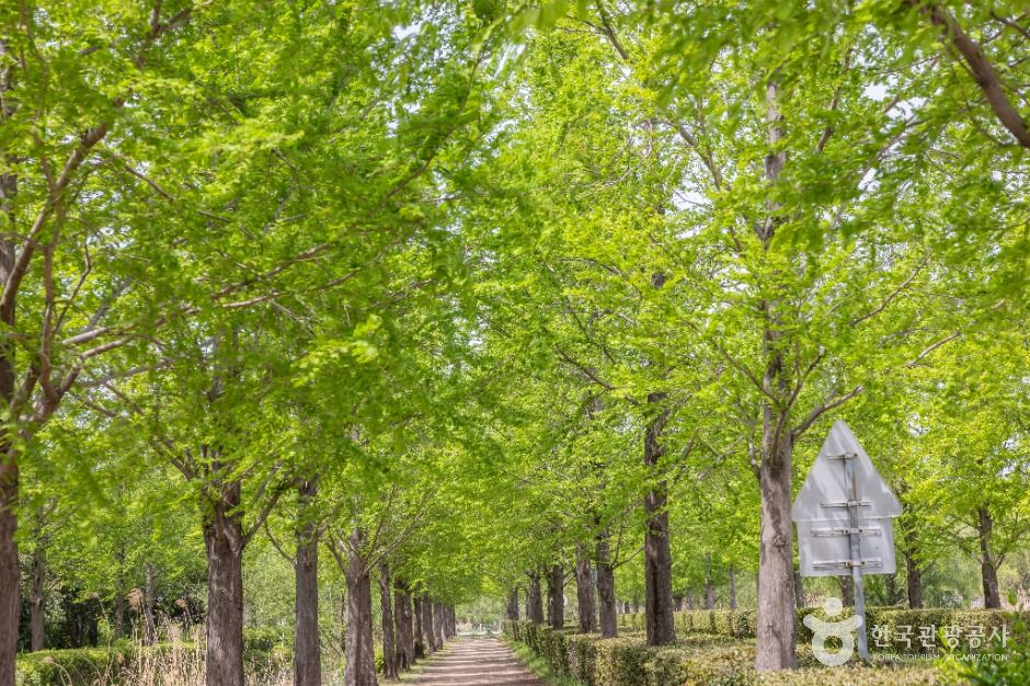 부산_화명생태공원 (1)