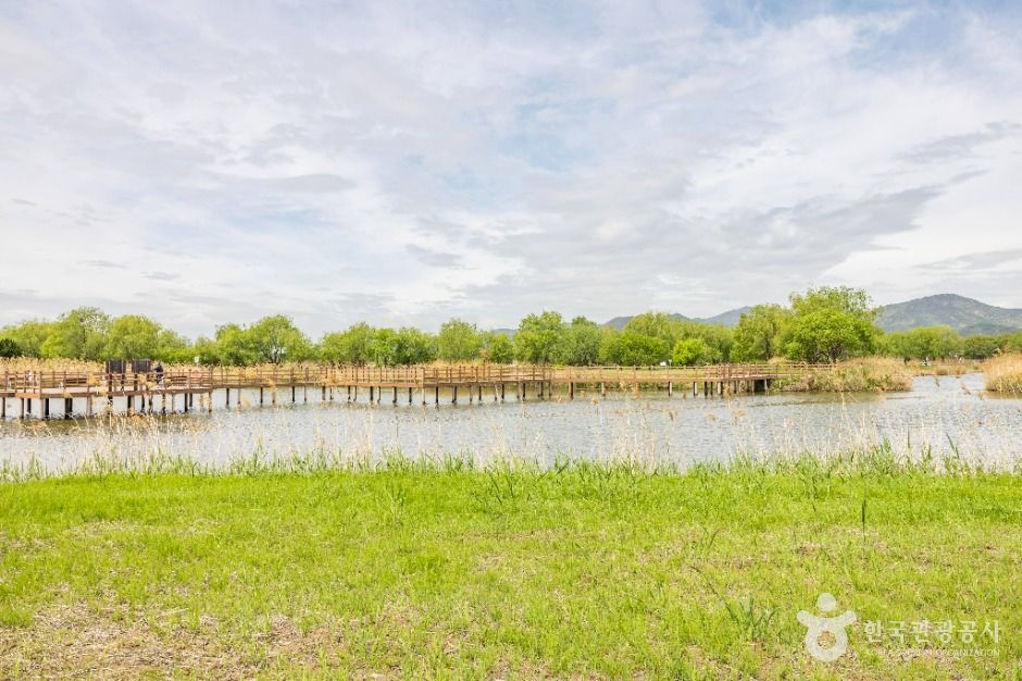 부산_화명생태공원 (3)