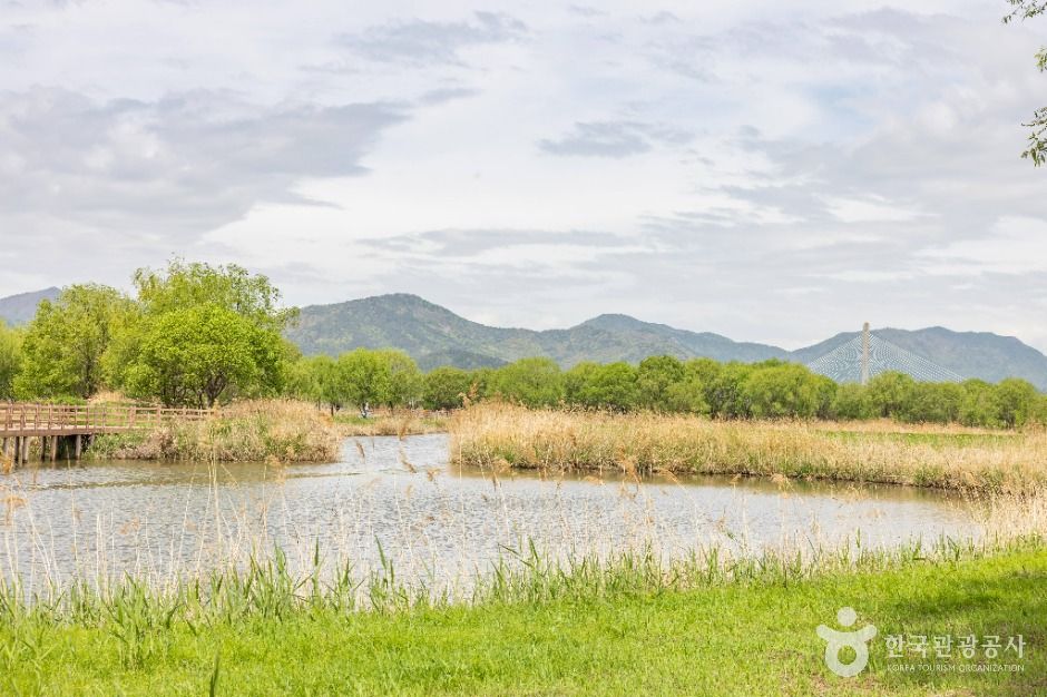 부산_화명생태공원 (4)
