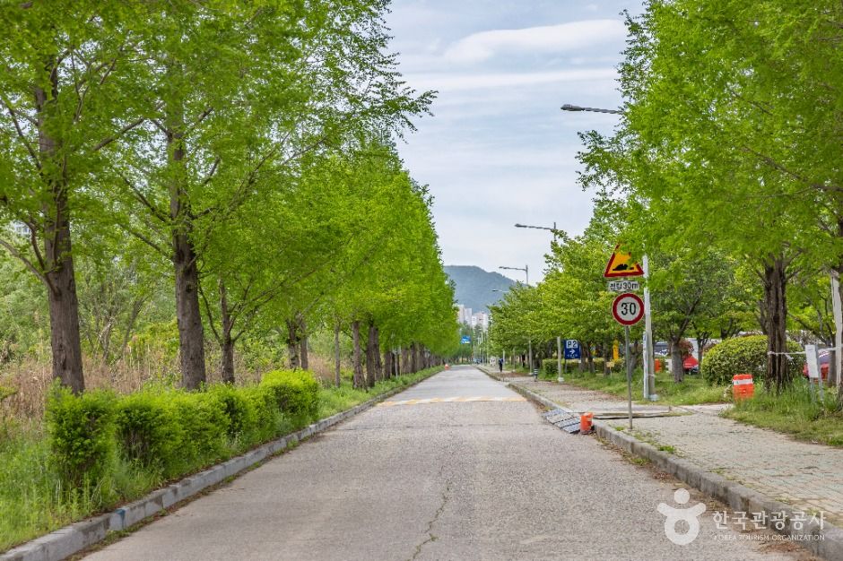 부산_화명생태공원 (8)