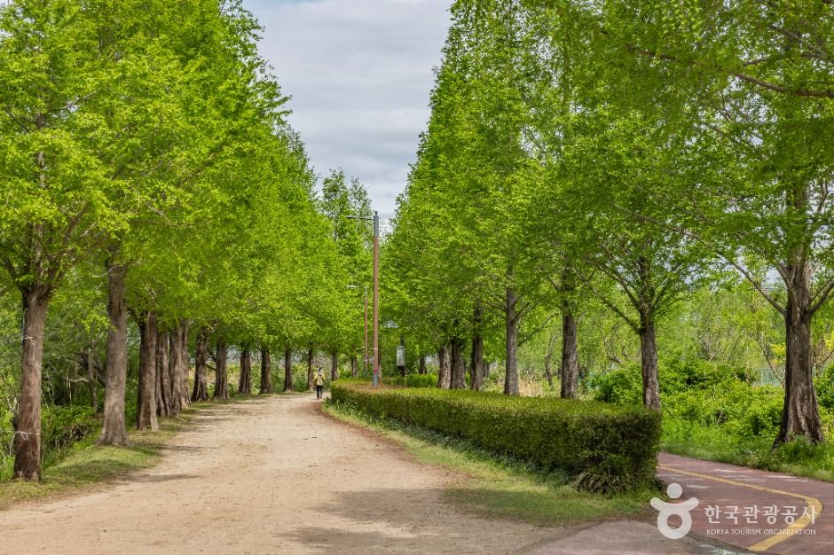 부산_화명생태공원 (10)