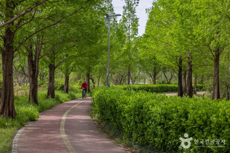 부산_화명생태공원 (12)