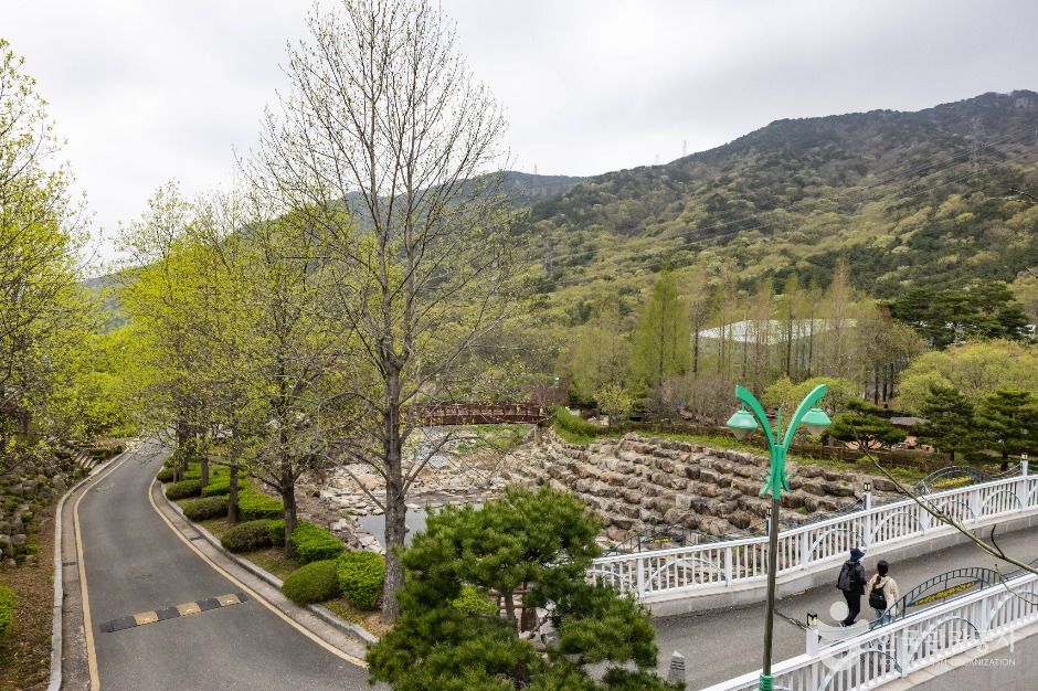 부산_화명수목원 (6)