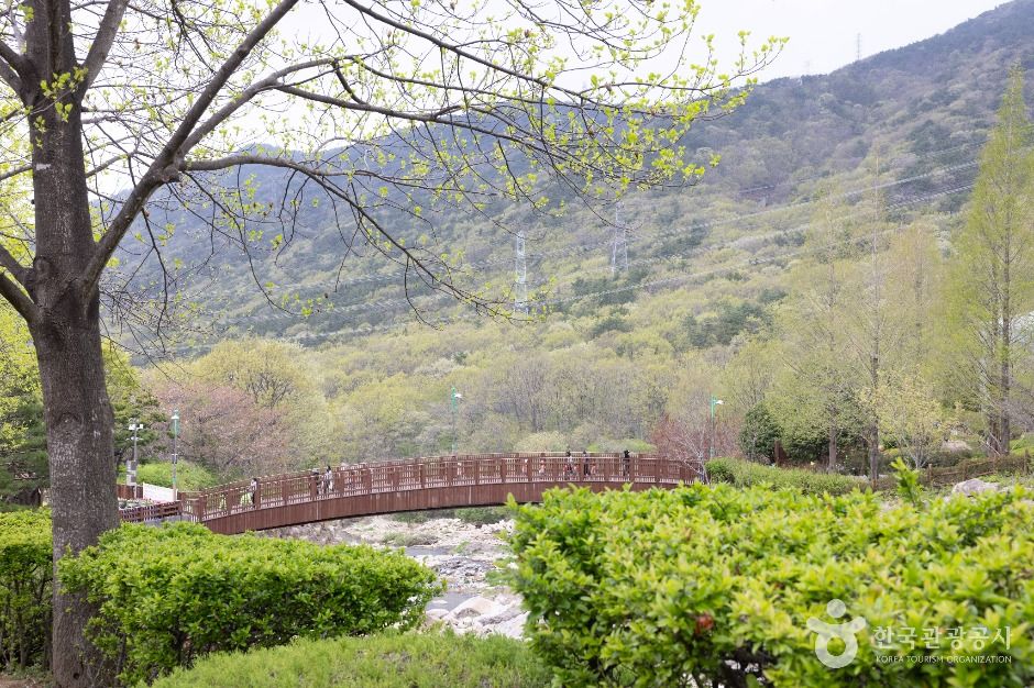 부산_화명수목원 (8)