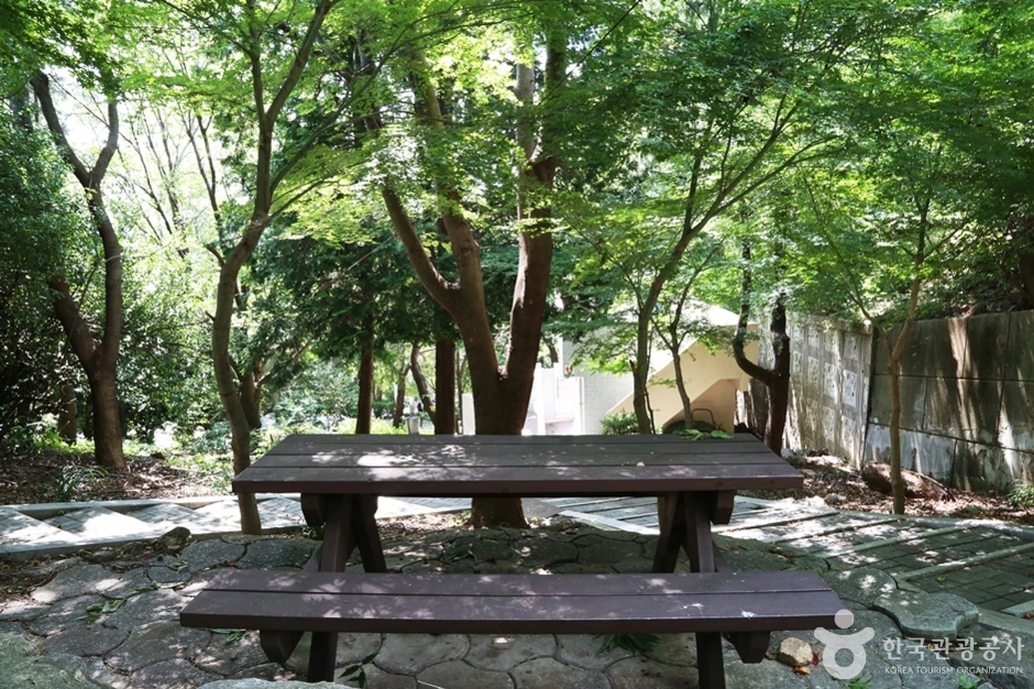 황령산레포츠공원 (19)