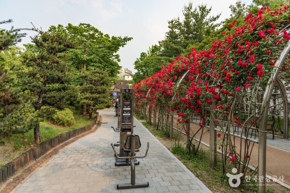 서울_간데메공원 (4)