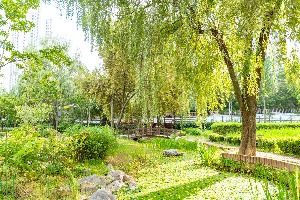 개봉유수지 생태공원