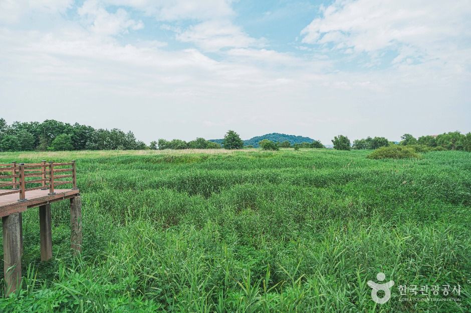 서울_강서한강공원 (1)