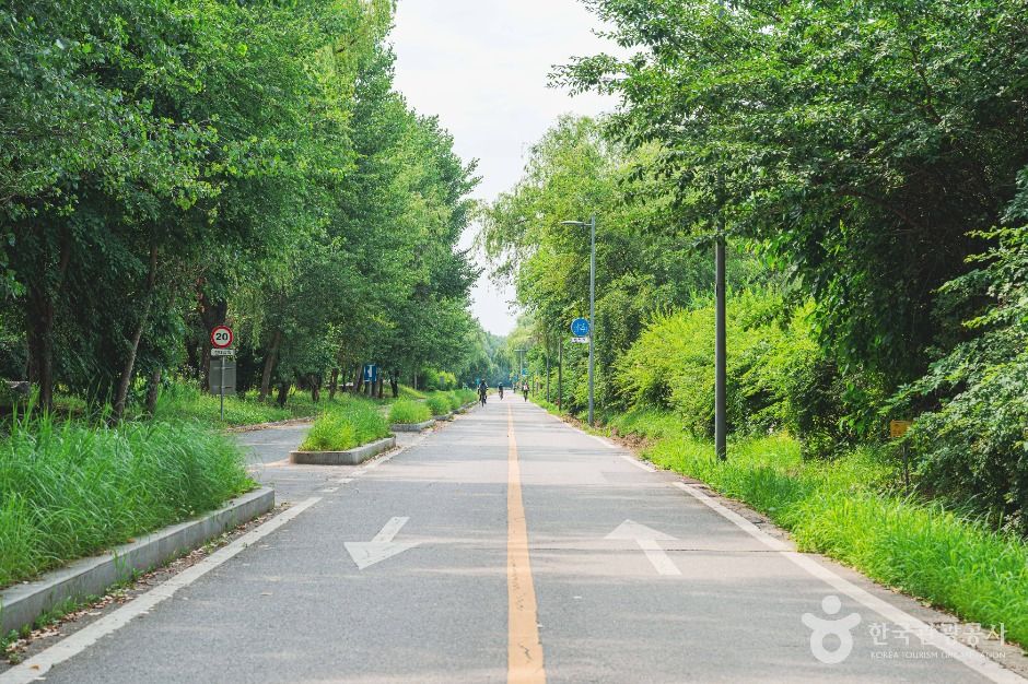 서울_강서한강공원 (3)