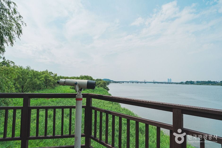 서울_강서한강공원 (5)