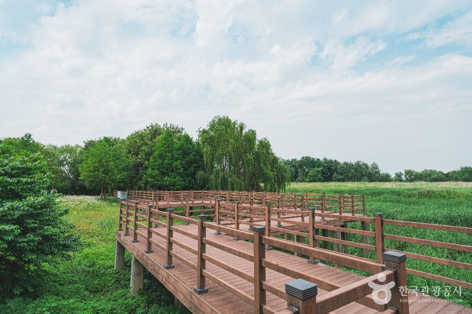 서울_강서한강공원 (6)