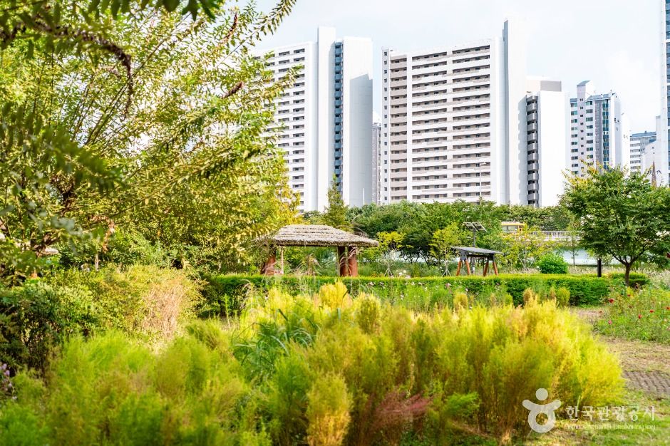 서울_개봉유수지 생태공원 (2)