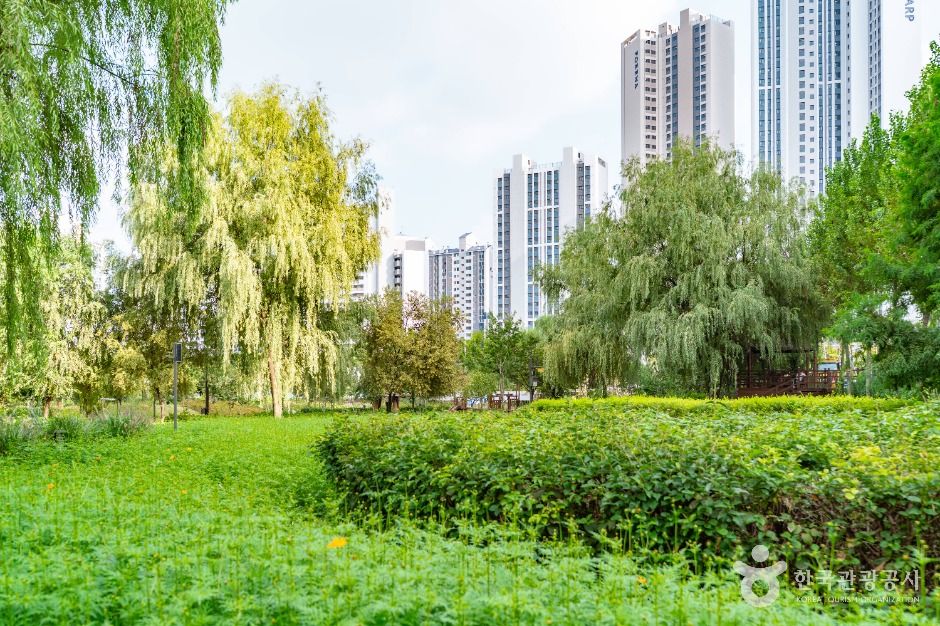 서울_개봉유수지 생태공원 (4)