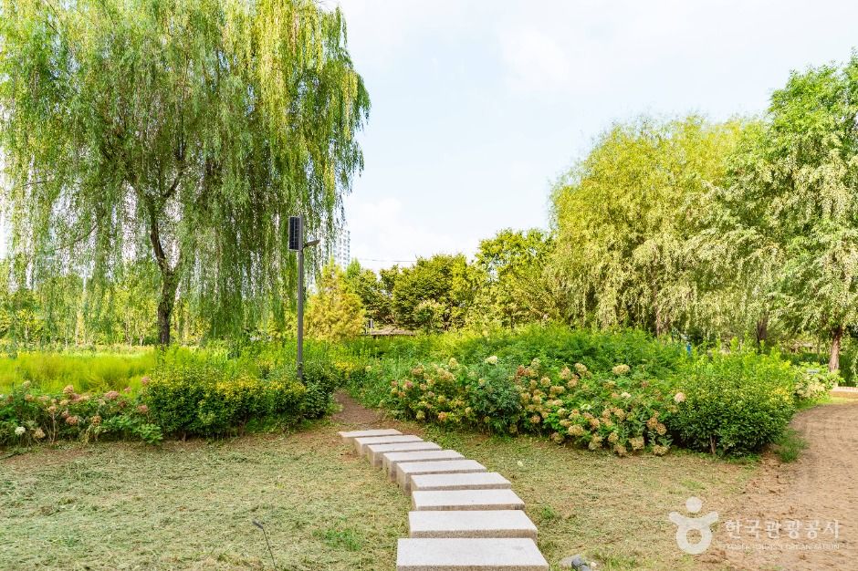 서울_개봉유수지 생태공원 (5)