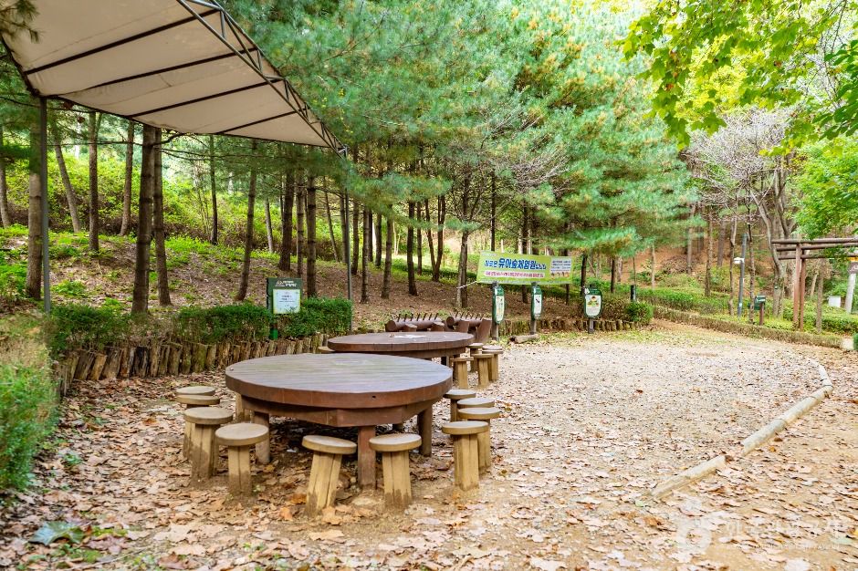 서울_계남근린공원 (3)