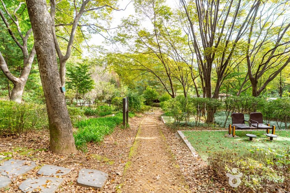 서울_계남근린공원 (2)