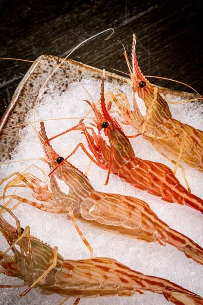 서울_고래불 (5)