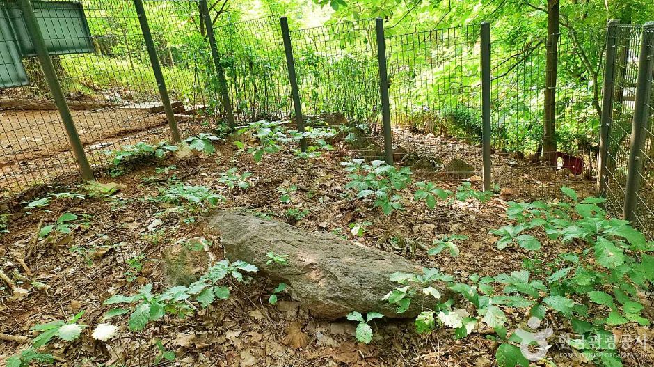 서울_고척동 고인돌 (4)