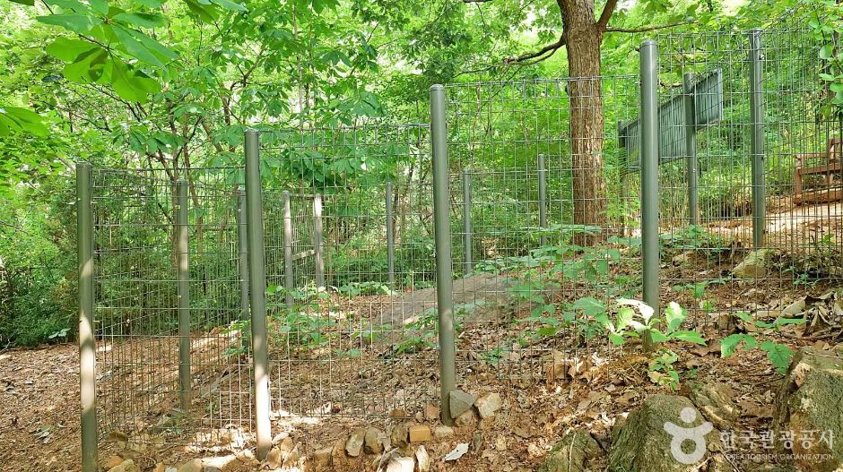 서울_고척동 고인돌 (5)