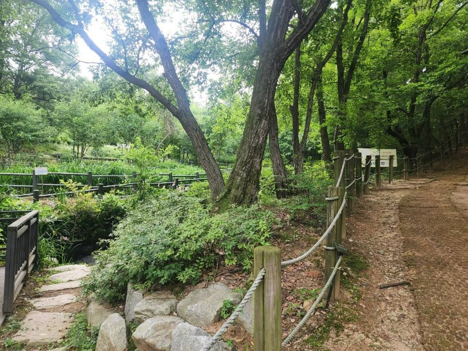 서울_관악산 선우공원 (5)