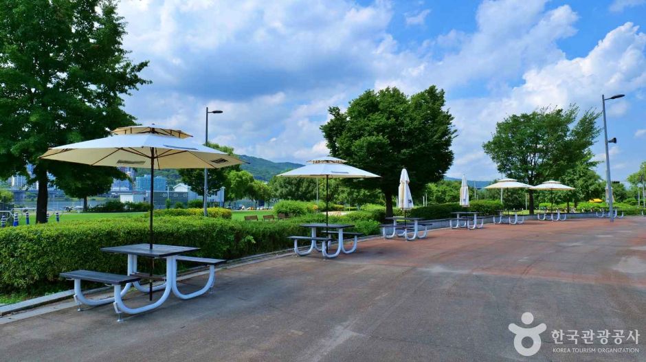 광나루한강공원 (1)